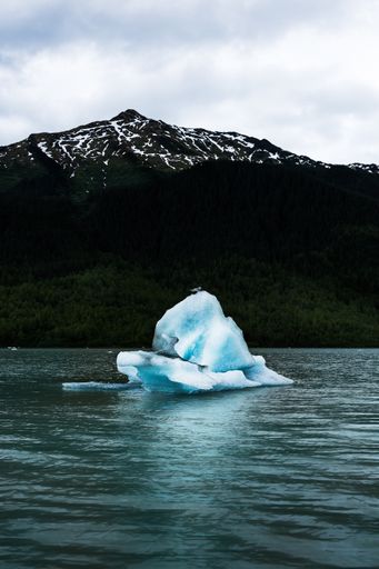 A vertical shot of the Mendenhall Glacier, Juneau, Alaska