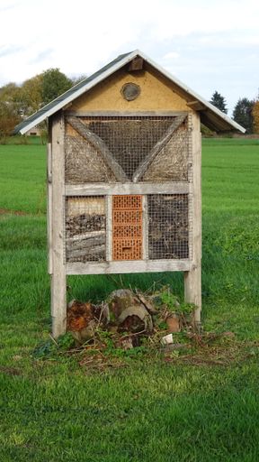 A hotel for insects and especially wild bees as a nesting opportunity. For the conservation of useful animals insect hotel is very suitable