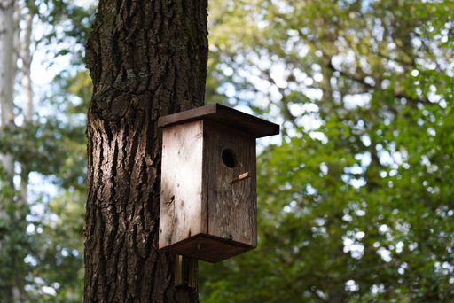 A closeup shot of a wooden birdhouse on tree trunk