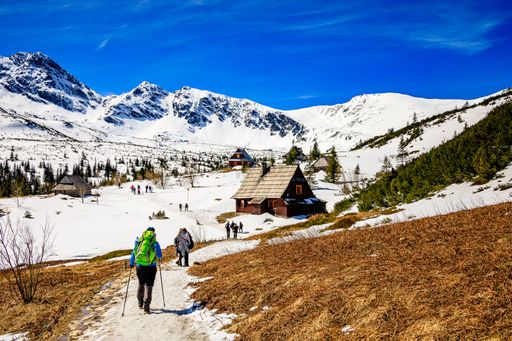 A group of mountaineers hiking on a trail in snowy mountains