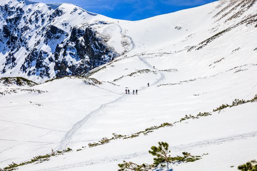 A snowy mountain slope with hikers on the trail