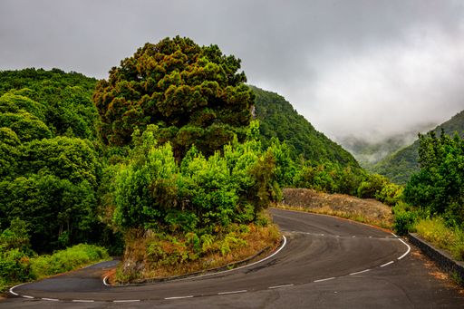 Beautiful scenery of smooth road passing through charming green mountain terrain, La Palma island