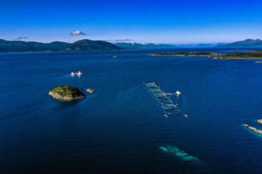 Aerial view of a trawler, a ship and salmon farming cages, in Lofoten, Norway, sunny, summer day - drone shot