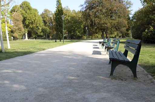 The wooden benches on the pathway in the park surrounded by trees and greens