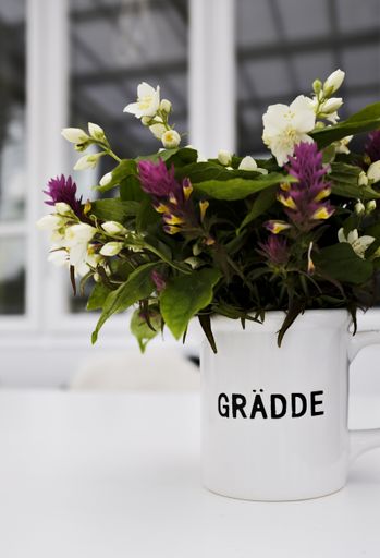 Beautiful flowers in a white pot with a writing "Gradde" 
Translation: Grace