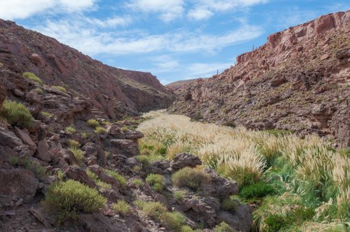 Canyon in San Pedro de Atacama in desert from Atacama in Chile