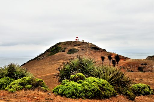 A low angle shot of a mountainous scenery with different kinds of plants in Chile, South America