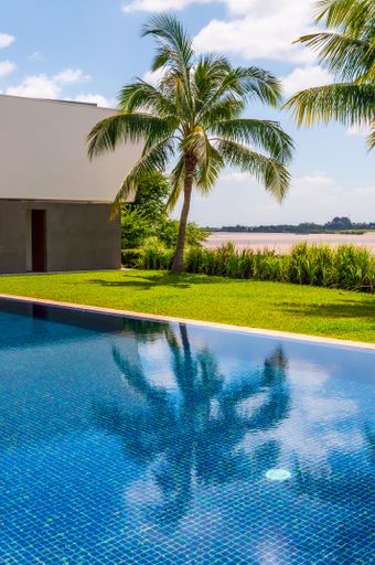 A vertical shot of a palm tree reflecting in the pool in Phnom Penh in Cambodia