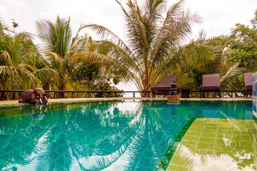 A low angle shot of different kinds of plants reflecting in the pool and a cute elephant sitting in the side in Ao Nang Krabi, Thailand, Asia