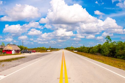 The beautiful shot of a road from the everglades on a sunny day under the blue sky in Miami, USA