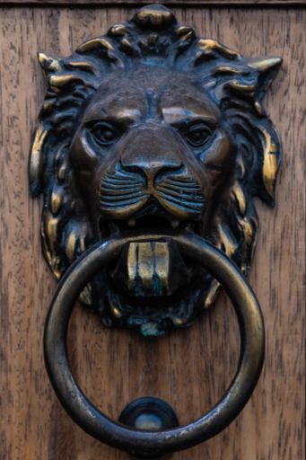 A closeup shot of lion door knocker on a wooden door