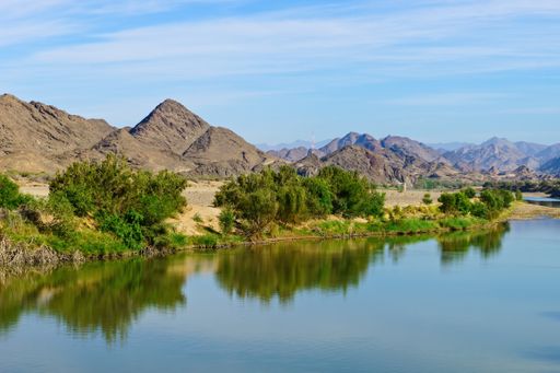 A beautiful scenery of a landscape with green trees and rocky mountains reflecting in the river