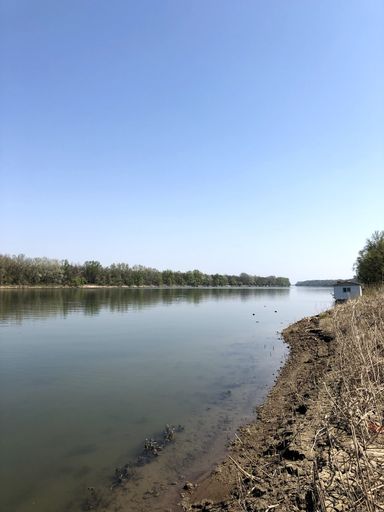 A vertical shot of a river surrounded by greenery under the sunlight and a blue sky in the countryside