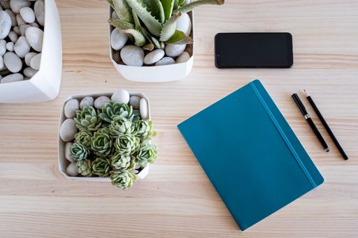 A high angle shot of potted plants, a notepad with pens, and a cellphone on the table