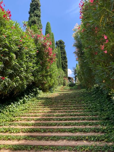 A vertical shot of a garden with lush vegetation and flowers