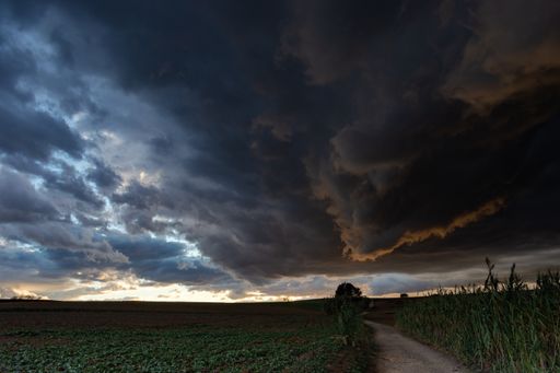 Sunset with threatening looking skies on an autumn afternoon in Gallecs Nature Park