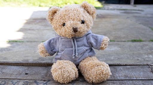 A closeup shot of a fluffy teddy bear