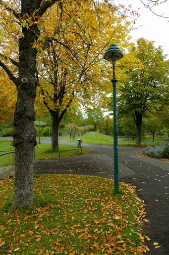 A vertical shot of a park in the autumn during the daytime