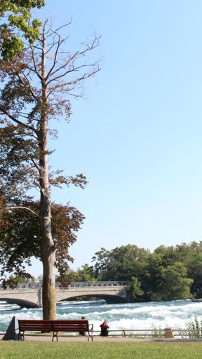 A vertical shot of a bridge over a river and people sitting in a park next to it