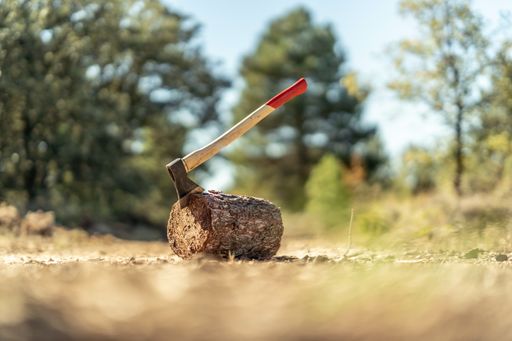 An ax on a tree trunk on background of a roadway