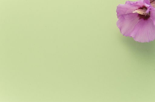 A high angle shot of a purple flower on a green surface