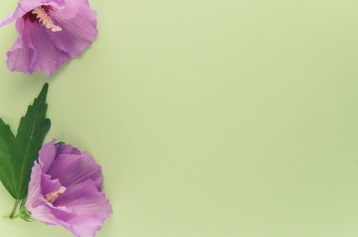 A high angle shot of purple flowers on a green surface