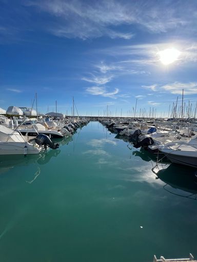 A vertical shot of motorboats in rows in the harbor of the sea under the shining sun