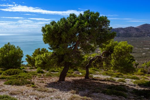 A landscape of hills covered in greenery surrounded by the sea under the sunlight