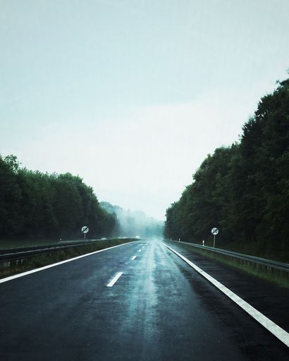 A beautiful shot of a road surrounded by tall trees on a gloomy day