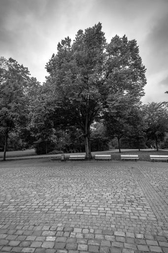 A grayscale vertical shot of a cobblestone road in Burgerpark, Bremen, Germany
