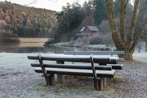 Benches in winter on a frosty morning