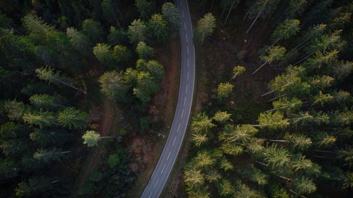 An aerial of a road in the middle of the woods