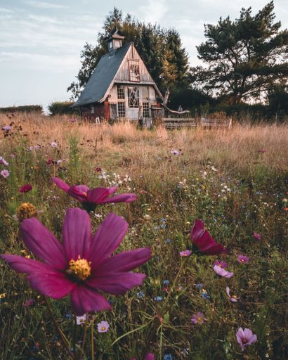 A landscape of The wizard cabin on a flowers field in the province of Namur, Belgium