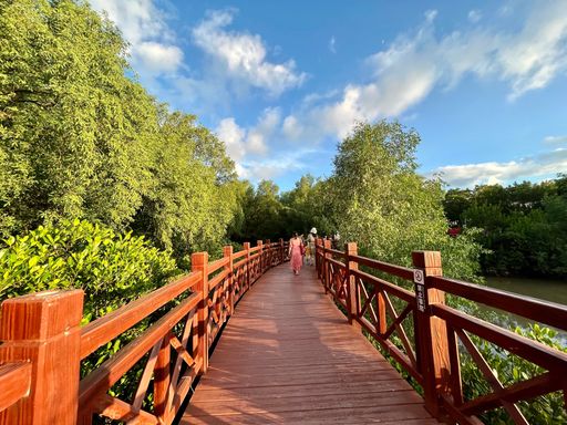 A wooden pathway to a beach with a female walking in the center