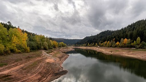 A closeup shot of a lake bay in Nagold Dam at the Nagold Valley, Black Forest, Germany