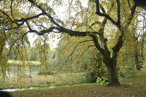A park with a lake surrounded by  a colorful autumn scenery