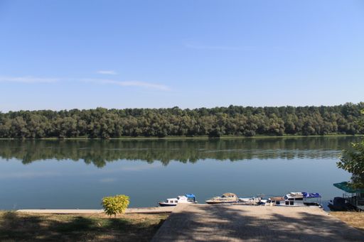Many boats parked in the lake with a forest in the background