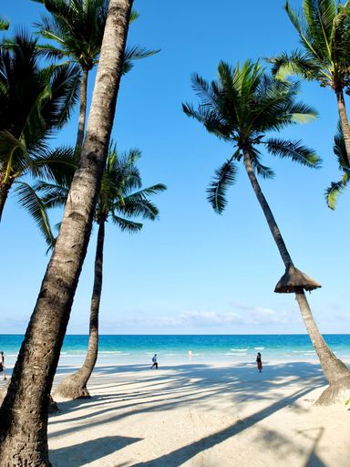 A vertical shot of a sunny day on Boracay Beach with palm trees and sea waves in the Philippines