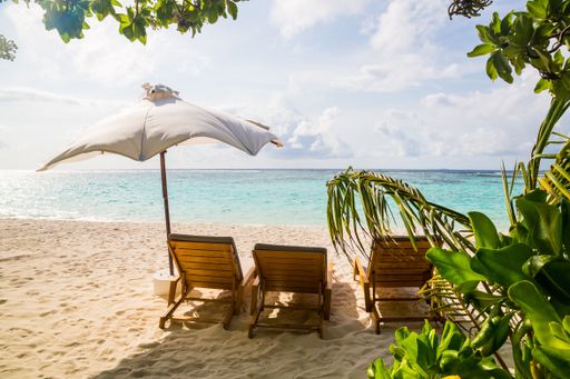 A beautiful view of palm trees growing on the beach at a resort by the ocean