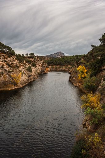 A vertical shot of a river with forested hills under a cloudy sky