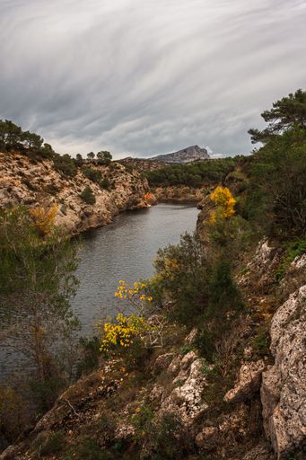 A vertical shot of a river with forested hills under a cloudy sky