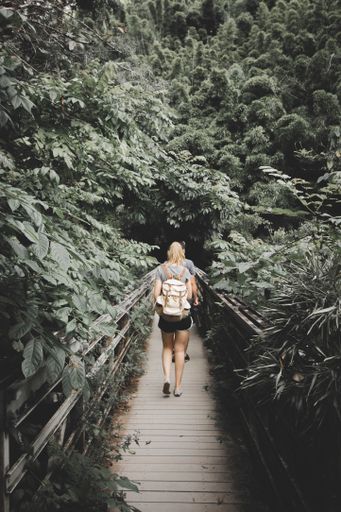 A female hiker walking on a wooden bridge in a middle of dense green forest