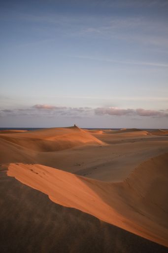 A vertical shot of a desert under the sunlight  perfect for wallpapers