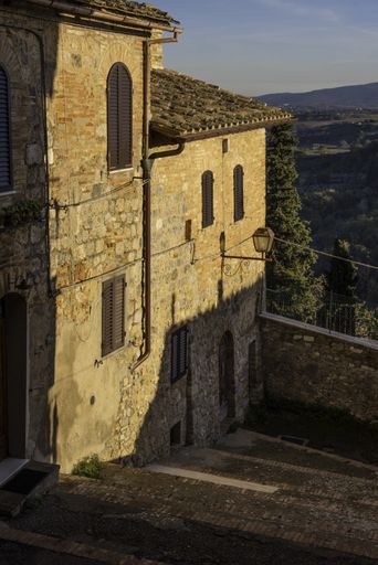 A vertical shot of the rural old houses in the streets of Florence, Italy during daylight
