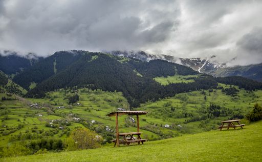 A gorgeous shot of beautiful fields filled with green nature during daylight