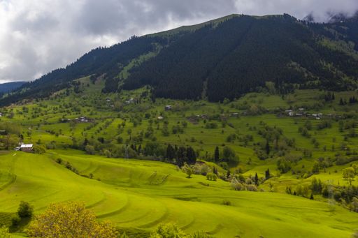 A field covered in greenery and houses surrounded by hills covered in forests under a cloudy sky