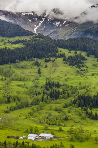 A vertical picture of hills covered in forests and fog under a cloudy sky at daytime