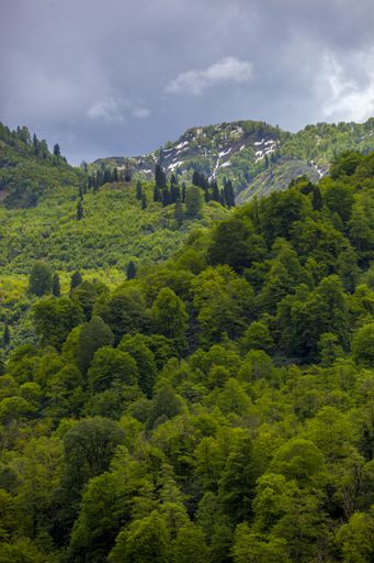 A vertical shot of the beautiful grass covered mountains under the cloudy sky