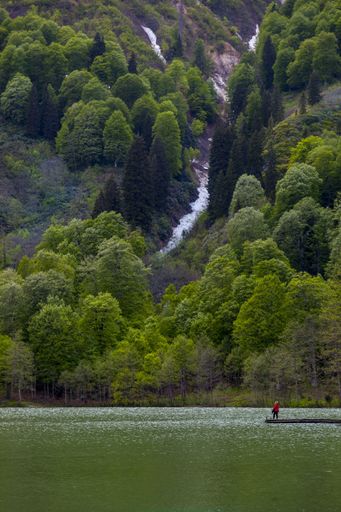 A vertical shot of a beautiful lake in front of the tree covered mountains