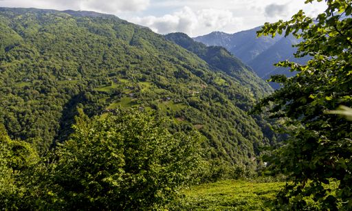 A beautiful view of the tree covered mountain under the cloudy sky